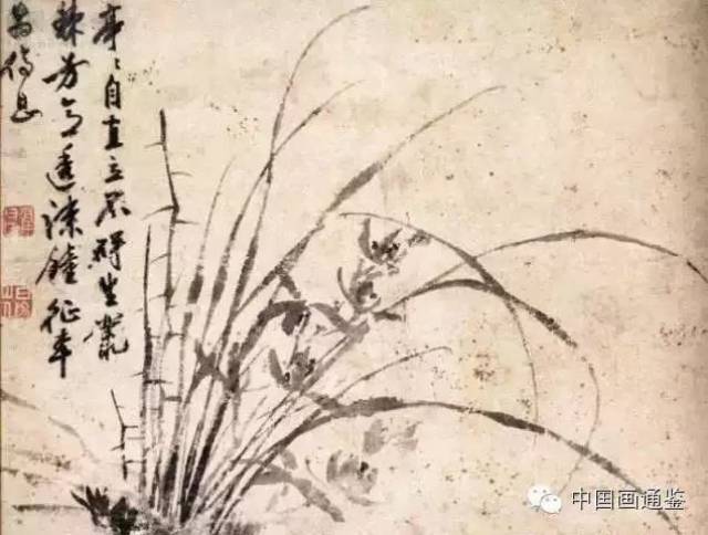 明中期的奇才徐渭,留下了多幅画兰名作,如《水仙兰竹》和《兰竹图》