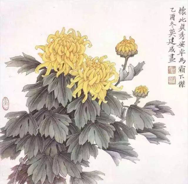 菊花—元稹