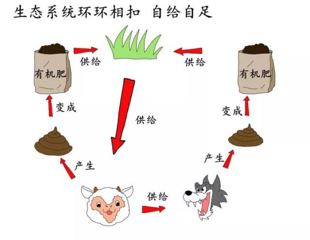 动物本就在山野的生态系统中,它们的便便也和生态链中其他部分一样都