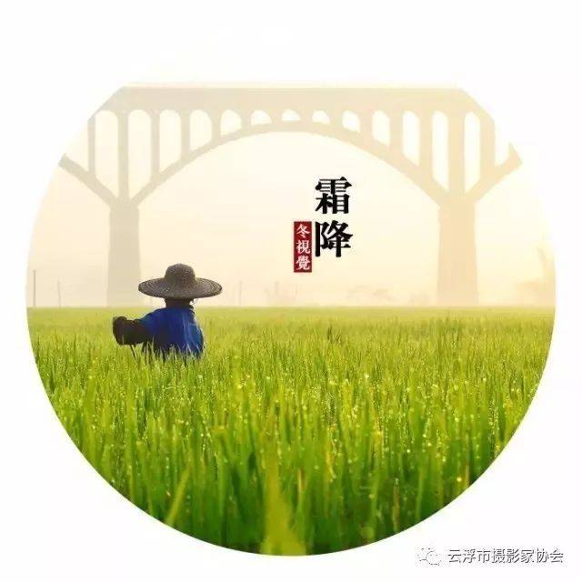 陪你走过春夏秋冬,看属于我们的风景——罗定二十四节气摄影