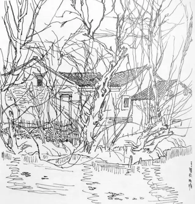 张仃 《池塘》(钢笔速写) 1975年