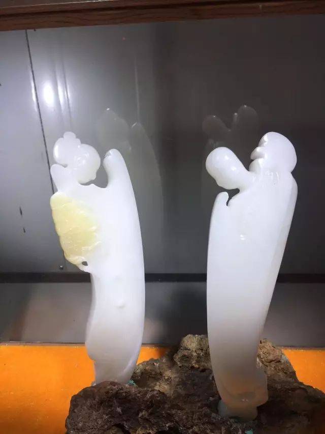 砗磲百科大全,你不知道的这里都有,太实用了