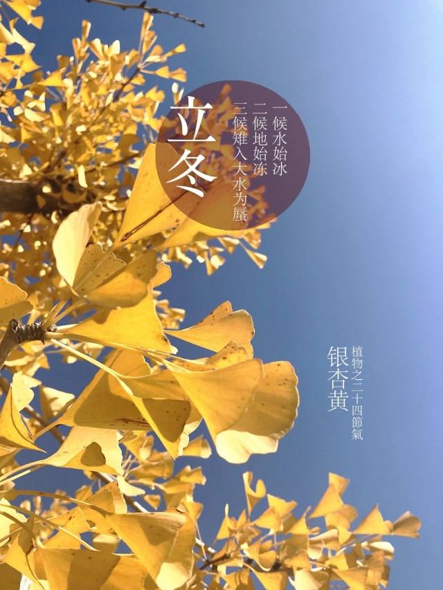 立者,始建也,于是立冬的意思便是最后一个季节开始的日子.