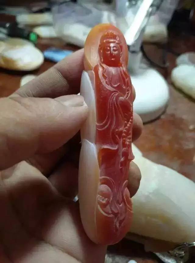 砗磲百科大全,你不知道的这里都有,太实用了