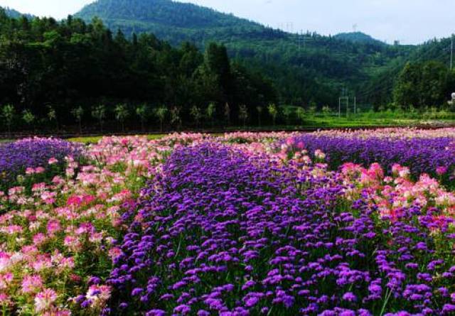 贵州将新增14个4a级景区,六盘水有1个!