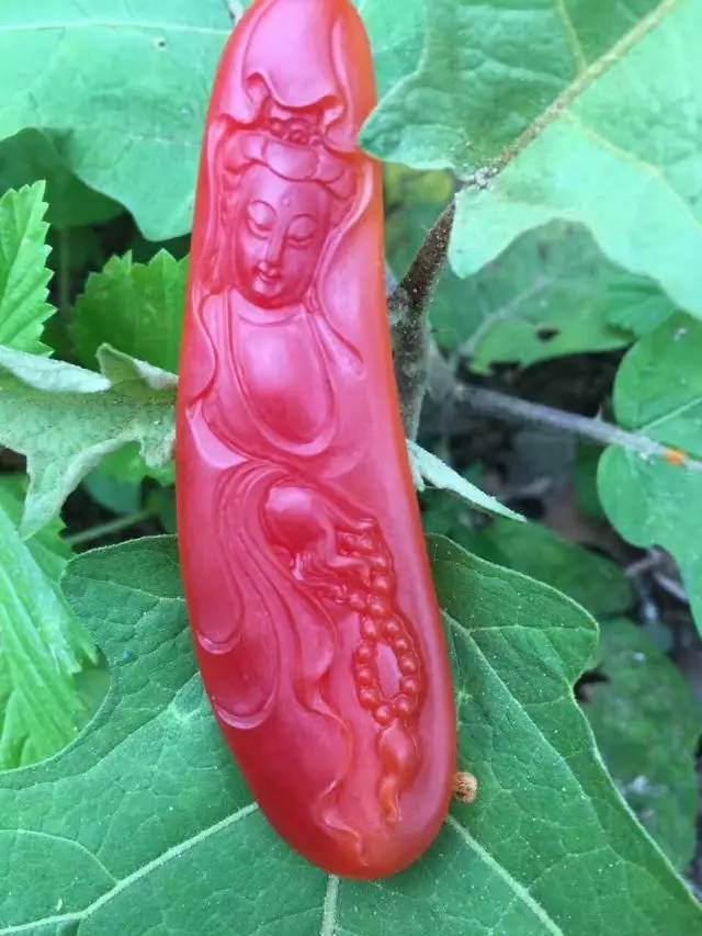 砗磲百科大全,你不知道的这里都有,太实用了