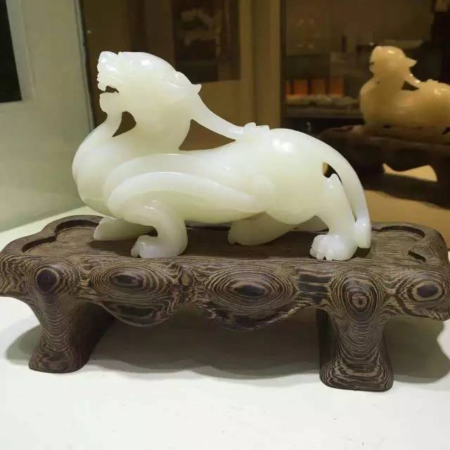 砗磲百科大全,你不知道的这里都有,太实用了