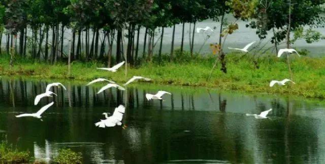 【立冬】@所有人,今天立冬,还试供暖,这些你一定要知道!!