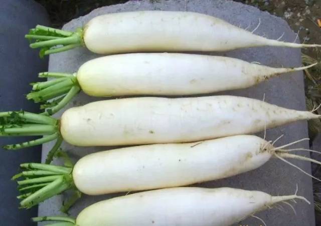 【立冬】@所有人,今天立冬,还试供暖,这些你一定要知道!!