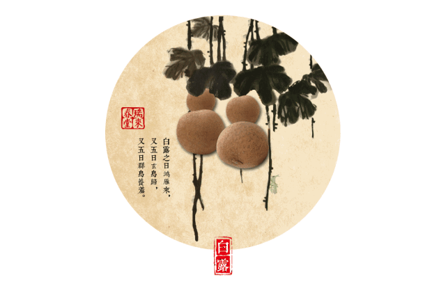 超萌的中药版二十四节气养生动态图