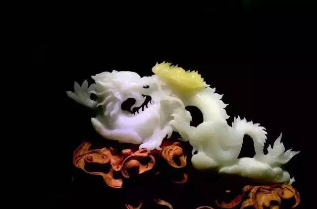 砗磲百科大全,你不知道的这里都有,太实用了