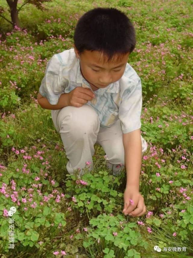 【往事如歌】特级教师焦大姐的海安实小故事