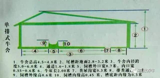 养殖竹棚搭建设计图