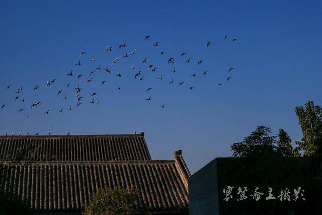 宋朝扬州人口_扬州炒饭图片(2)