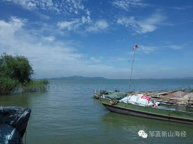 女人比男人更凶残,或大妈比大叔更凶猛