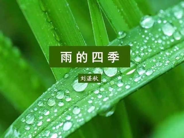 课堂实录《雨的四季》