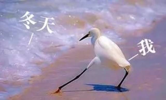 今日立冬,冷空气周末突袭BT网页游戏私服荆门!更可怕的是下周我们可能会变成这
