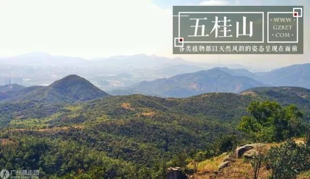 勇登中山第一峰 五桂山 穿越神秘水库