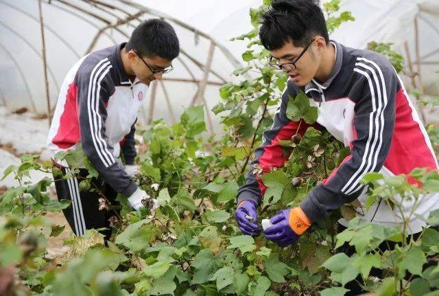 华师大二附中紫竹校区的全体高二学生于浦东凌空青少年实践基地进行了