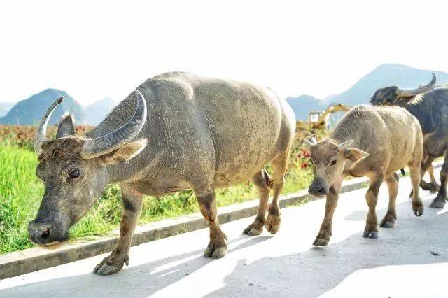 用第三只眼看世界,非常完美