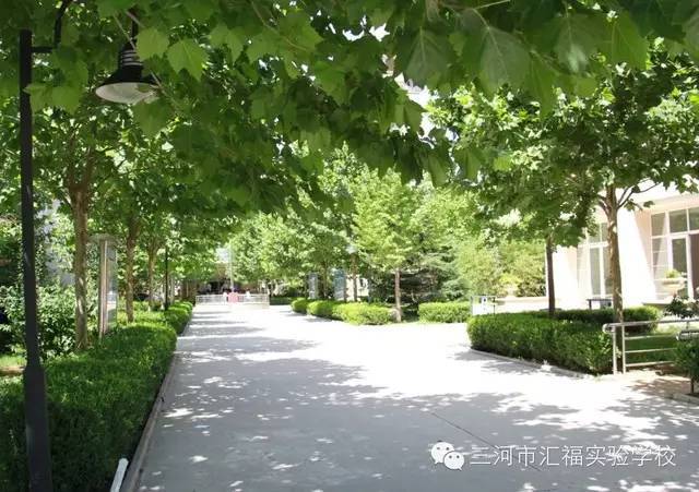 汇福实验学校参加三河市中小学"三对三"篮球比赛的喜报