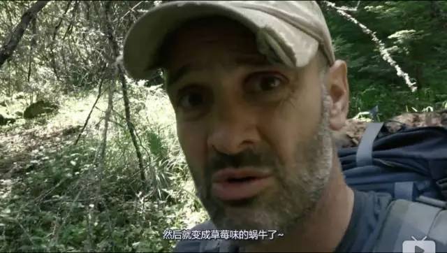 完胜荒野求生的纪录片,只能说男主是一个假人