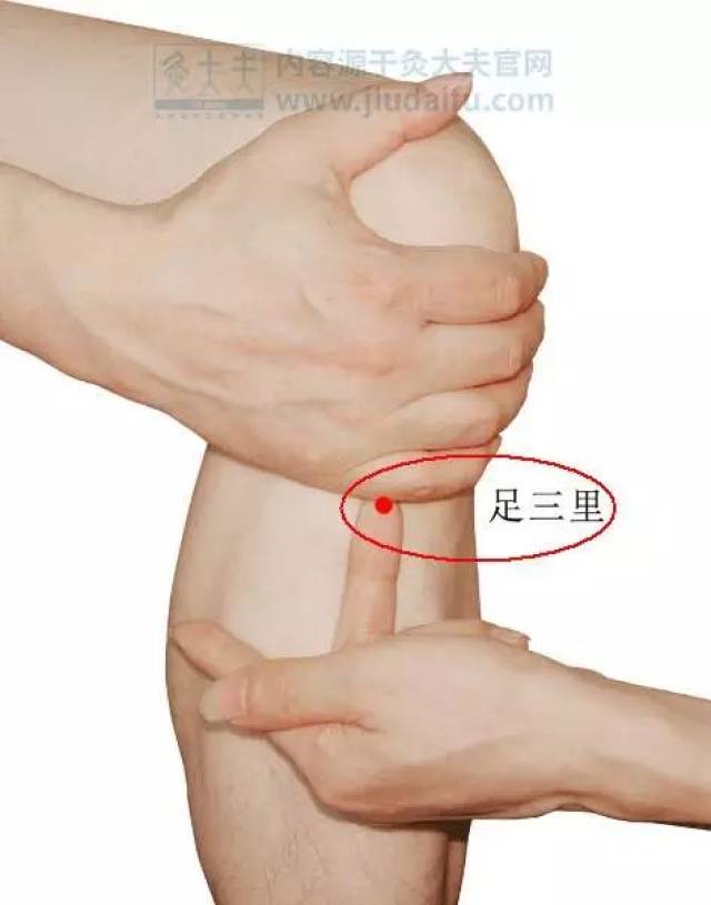 3,艾灸足三里——提高耐寒能力