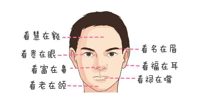 这五种耳朵,不得了,有钱又有福的人的耳朵都是这五种之一!