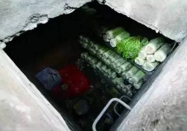 10, 北方人一次买100斤大白菜囤着过冬 南方网友惊呆