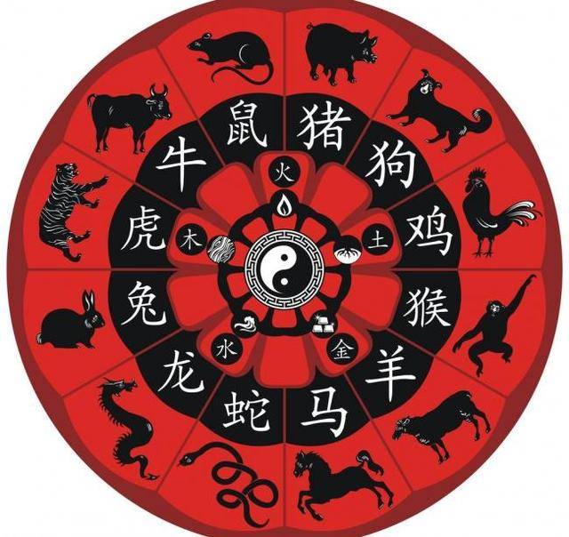 香港十二生肖号码表,2021年香港买马生肖图 十二生肖什么时候走好运,赶紧来看看你的!
