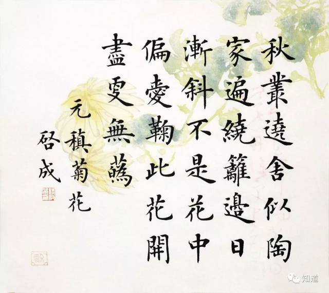 知道书画|陆启成楷书 元稹《菊花》