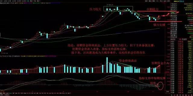 多重利好来袭 新能源汽车霸气回归