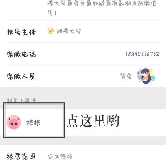 拱拱小程序惊喜上线,ios用户快来认领这只粉红猪!