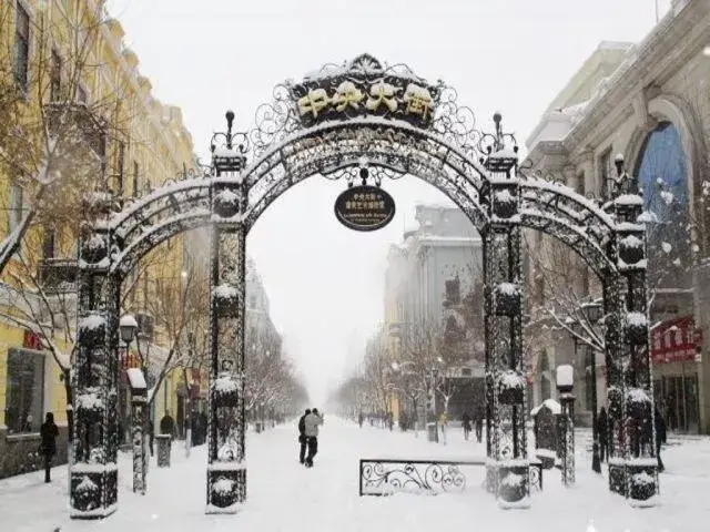 哈尔滨的冬天,雪景,滑雪,冰雕,几乎都是最好的.