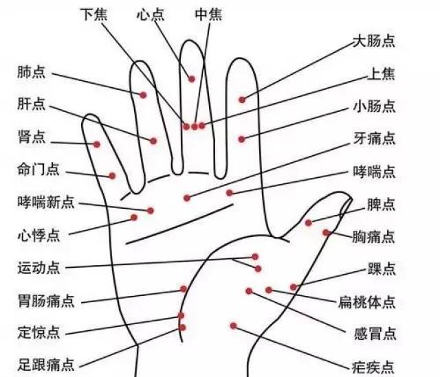 人体五大反射区的有图详解.