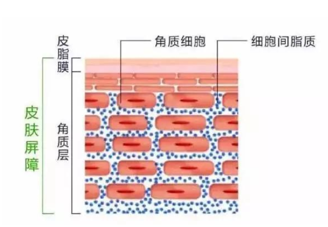 合肥生物医药产业向新而生(图1)