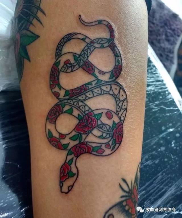 tattoo snake蛇蝎心肠 | 来日方长是有的,只是不是跟你的