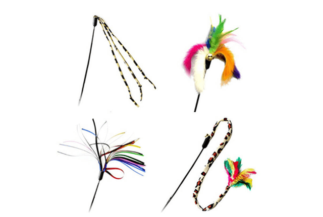 母猫发情一般是要嚎多久,小母猫的发情期有多久