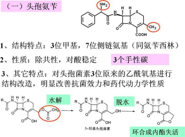 1.结构特点:头孢氨苄的苯环对位羟基; 2.