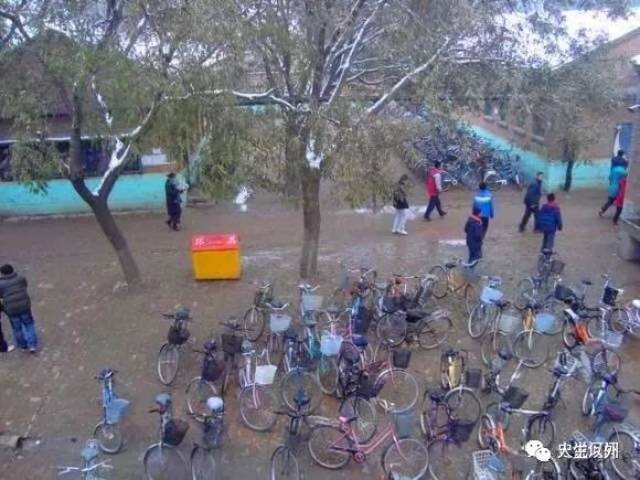 当年的河间老二中你还记得吗?