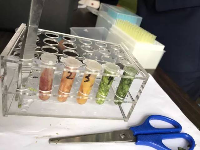 ����ҳ�ح����г����ֳ���������⡢�߲ˡ�ˮ��ȫ���ϸ�
