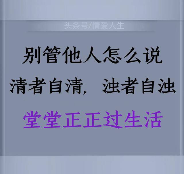 清者自清,浊者自浊,堂堂正正于心无愧.