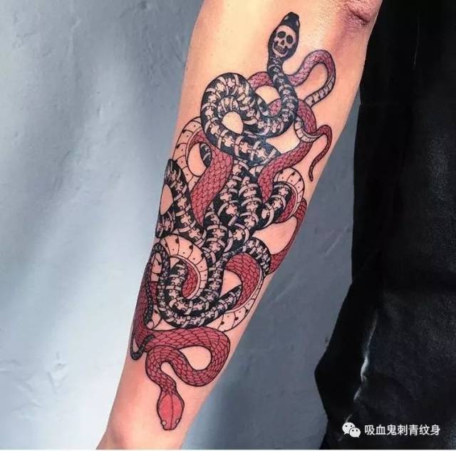 tattoo snake蛇蝎心肠 | 来日方长是有的,只是不是跟你的