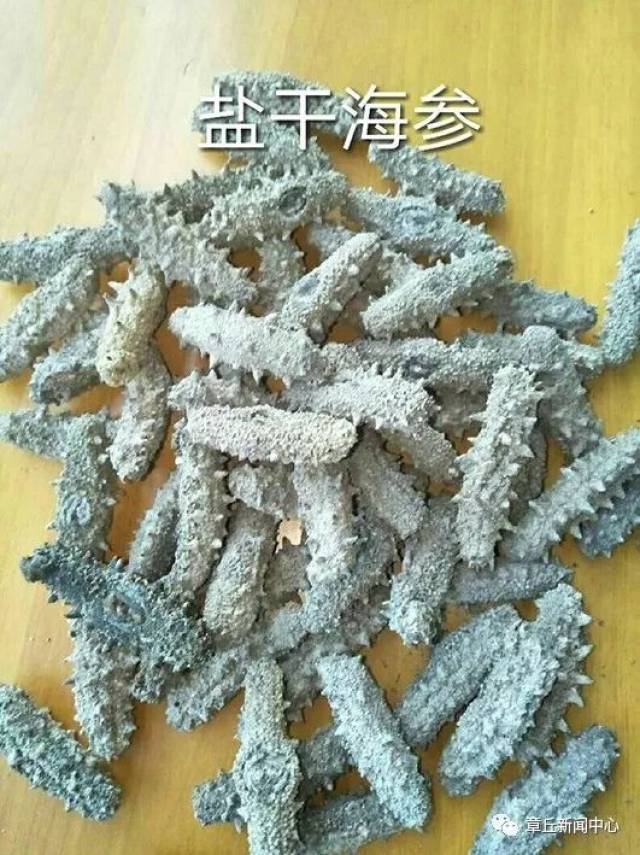 什么是盐干海参?