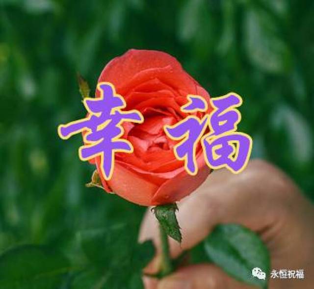 再送给你九朵好运花 愿你平安幸福 财气满满 把这份吉祥的祝福 送给