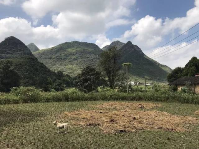 余靖后人居住的古村--广东韶关乳源大桥镇深源村