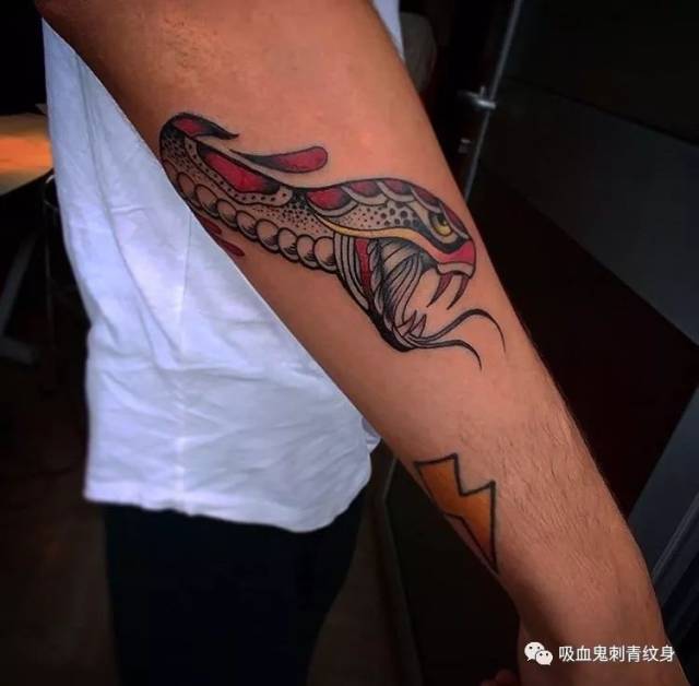 tattoo snake蛇蝎心肠 | 来日方长是有的,只是不是跟你的