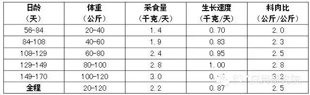 表8. 在良好的商业条件下生长育肥猪的建议目标