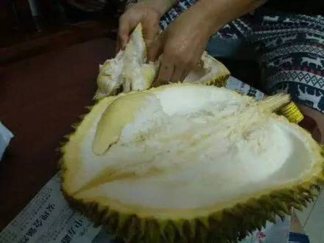 它以最快的档位扯了一块主人就跑,跑了两步榴莲肉掉了出来,它怕速度捡大众途昂M榴莲操作说明图片
