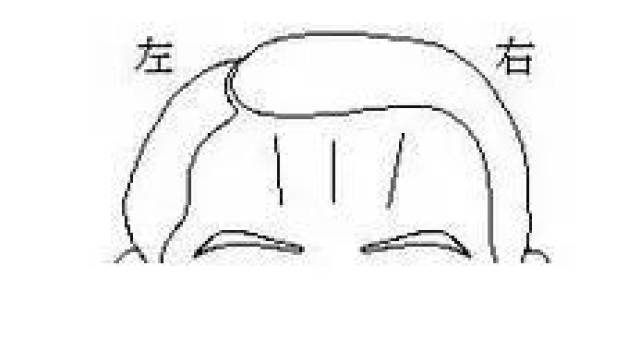 31a5e3a35bfa408294be128199401601.jpeg